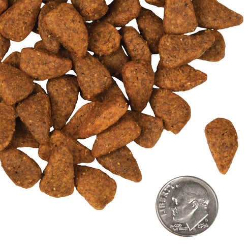 Fromm Four-Star Dry Dog Food - Chicken Au Frommage - 12lb Bag